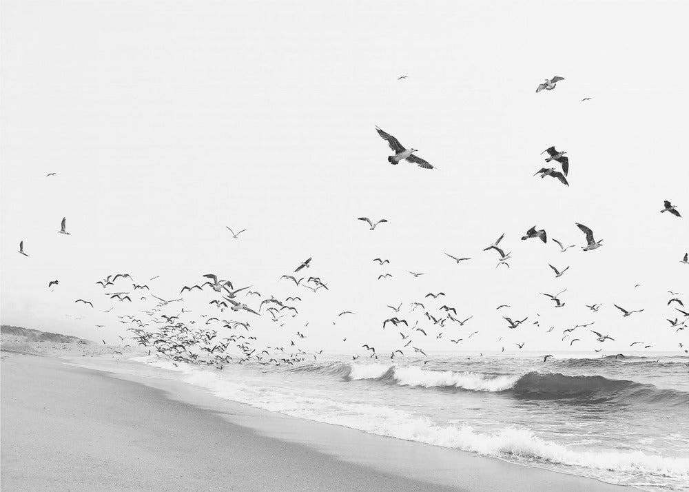 Seascape BW | Canvas