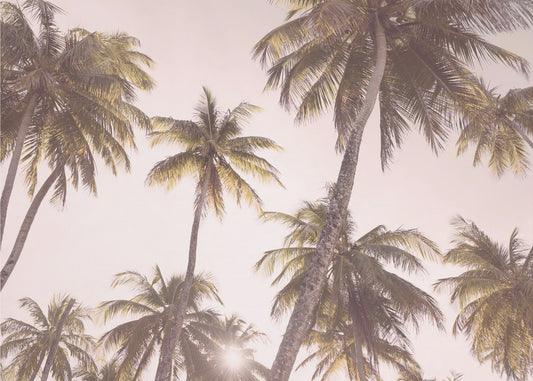 Blush Palm Trees | Canvas