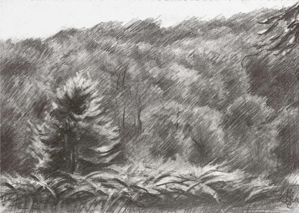 Beek - 21-07-19 | Canvas