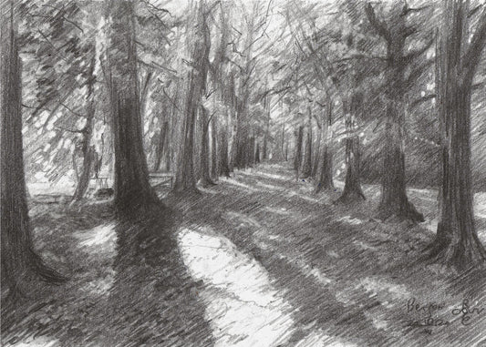 Bergen - 10-04-20 | Poster