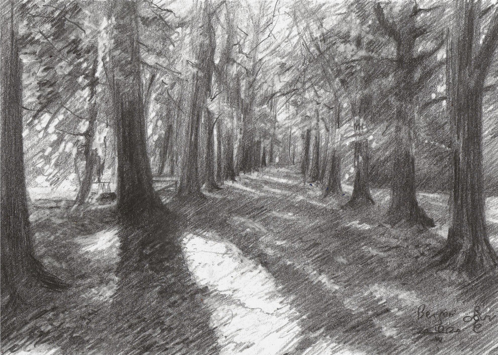 Bergen - 10-04-20 | Canvas