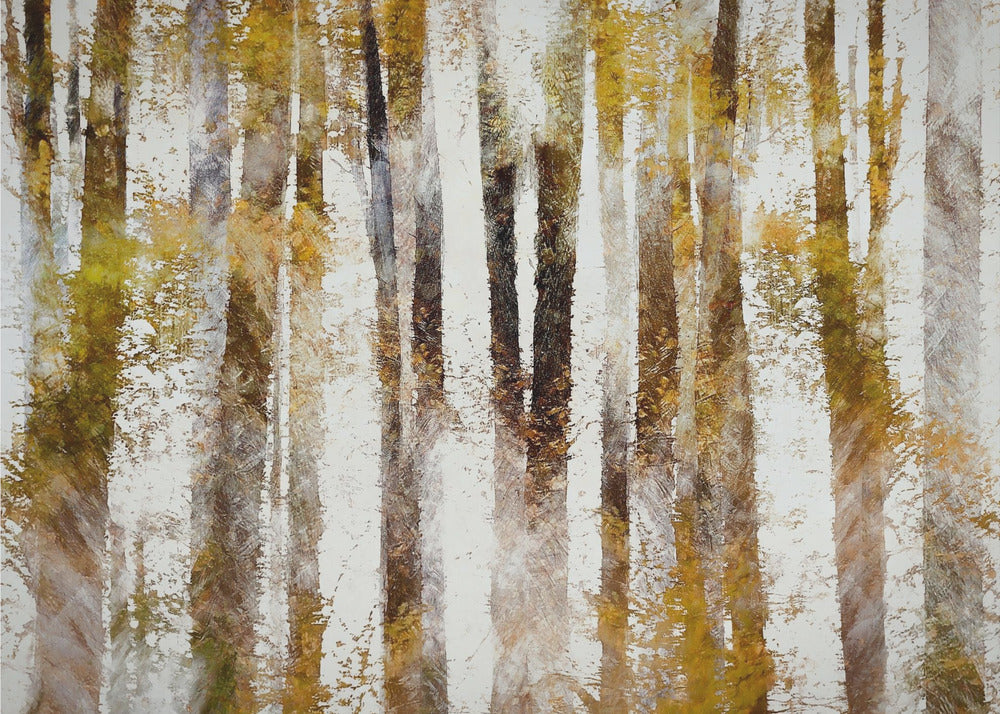 Beech in autumn | Canvas