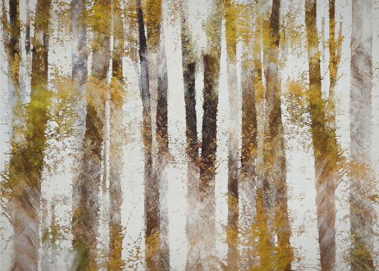 Beech in autumn | Canvas