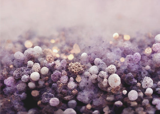 Mystical Lavender Haze | Wallpaper