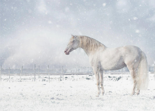 Let it snow... | Poster