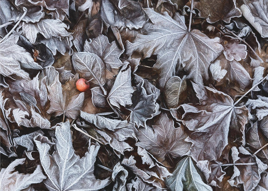 Frozen leaves | Canvas