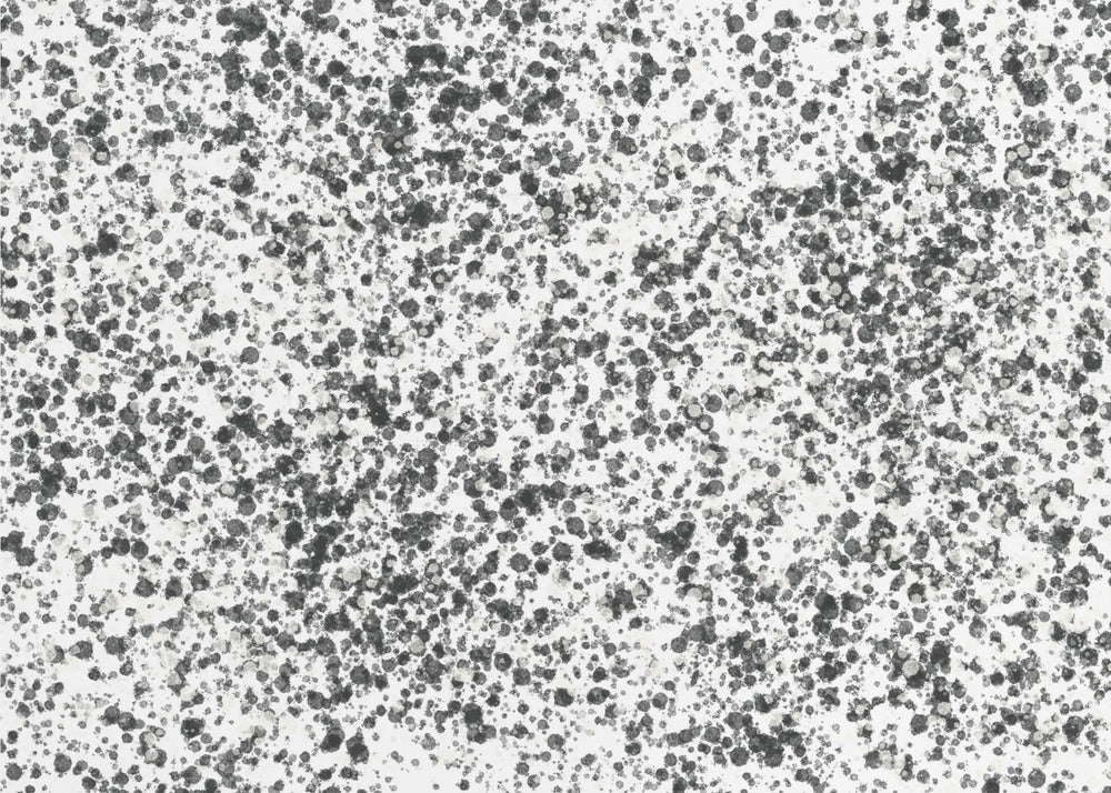 Monochrome Speckles | Poster