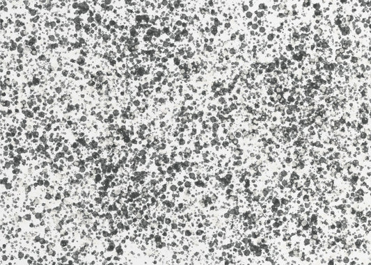 Monochrome Speckles | Canvas
