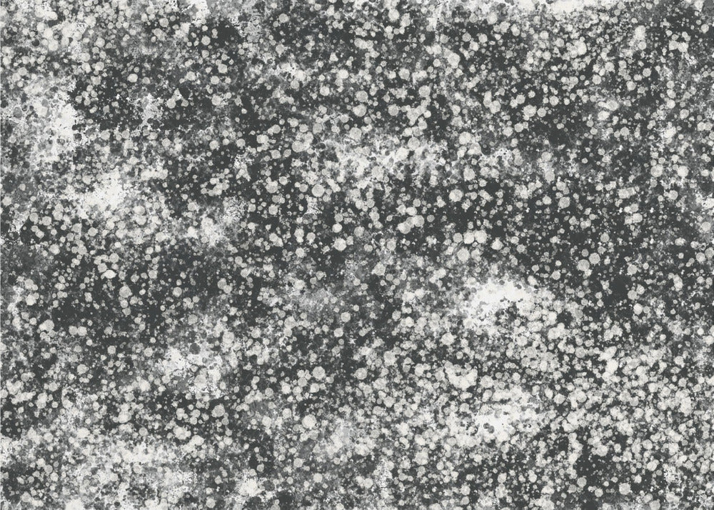 Monochromatic Splatter Pattern | Canvas