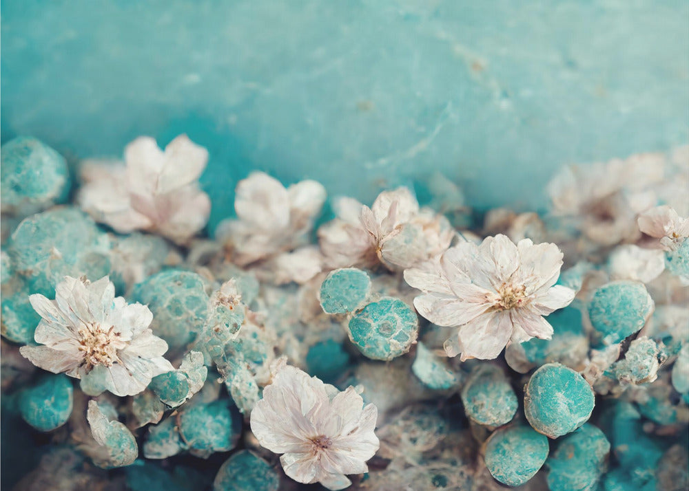 Aqua Blossom Dream | Canvas