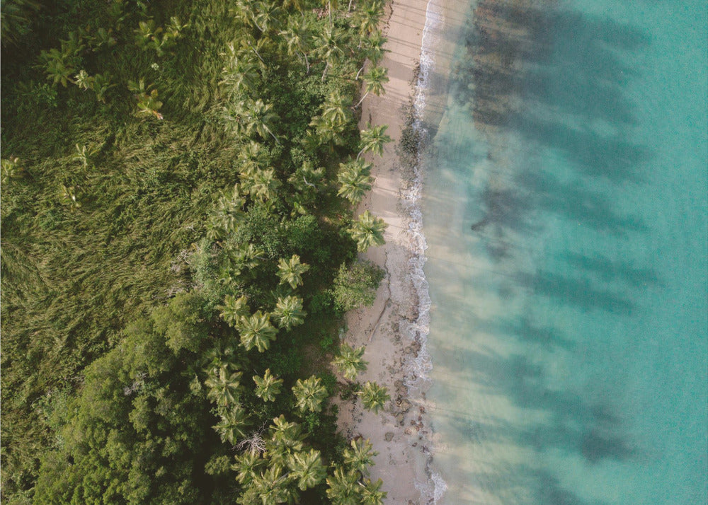 Green Beach from Above 2 | Poster