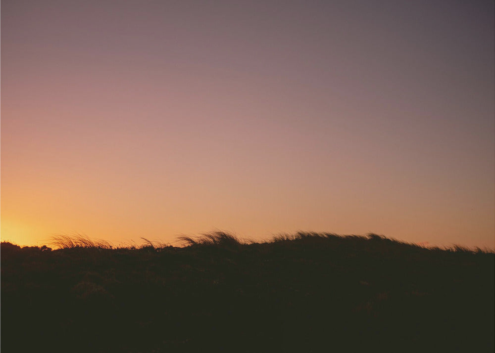 Dune Grass Sunset Horizontal | Poster