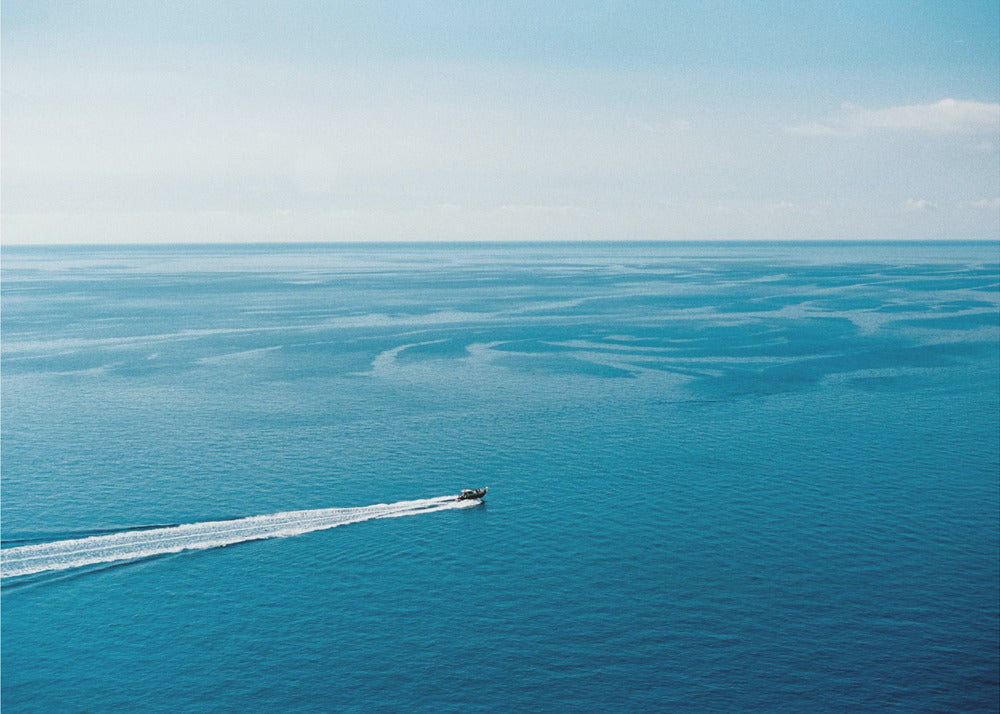 The Big Blue | Canvas