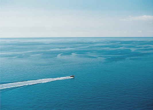 The Big Blue | Canvas