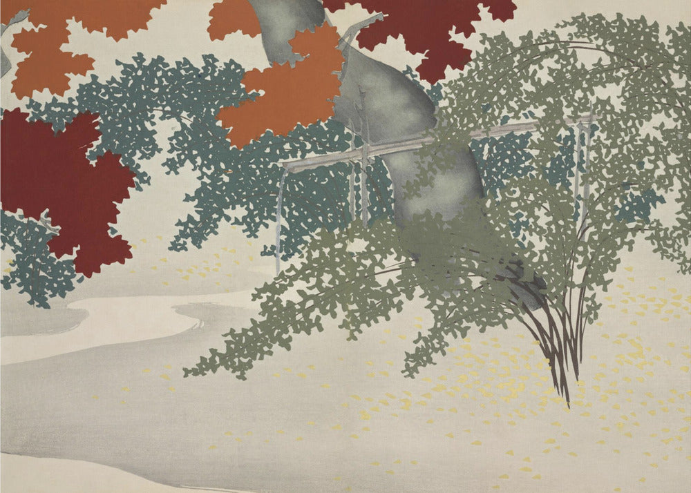 Maple from Momoyogusa | Canvas