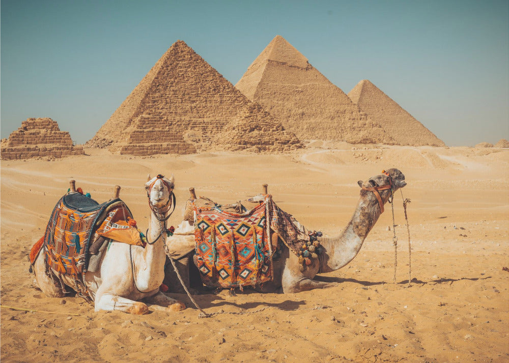 Visit to the pyramids | Wallpaper