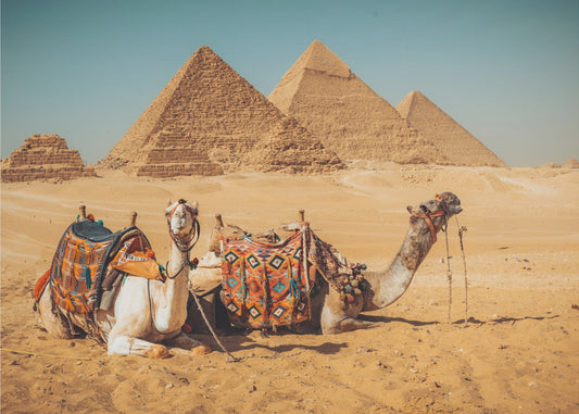 Visit to the pyramids | Wallpaper
