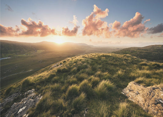 Soft Meadow | Poster