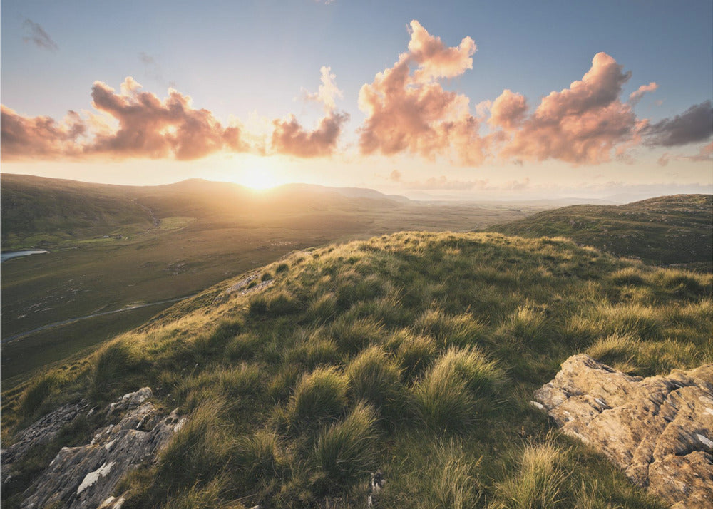 Soft Meadow | Canvas