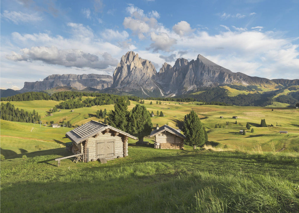 Paradise Day | Poster