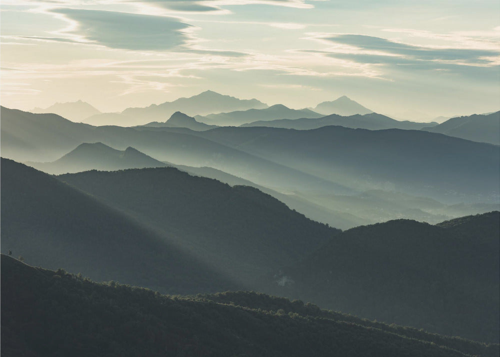 Silhouettes | Poster