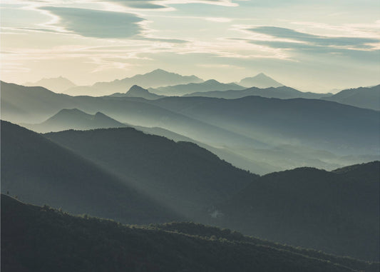 Silhouettes | Poster