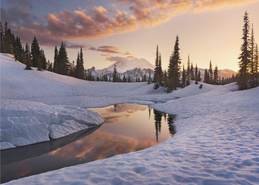 America the Beautiful | Poster