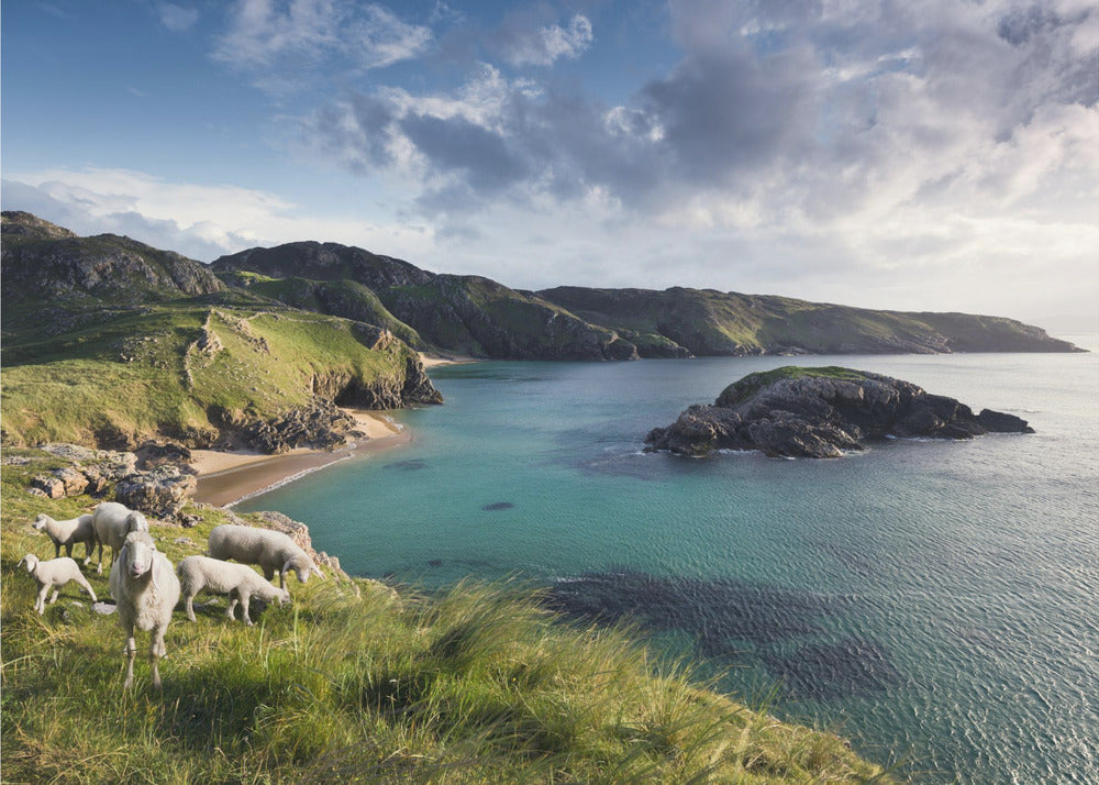 Irish Coast | Canvas