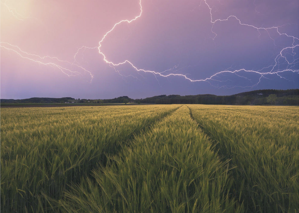 Lightning | Wallpaper