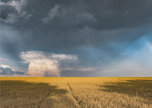 Gold and Thunder | Canvas