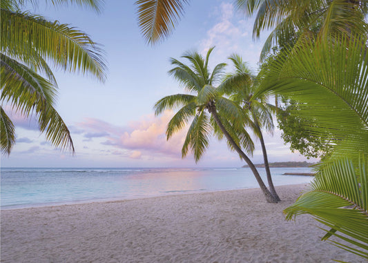 Tropical Beach | Canvas