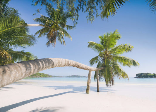 Tropical Palm | Poster