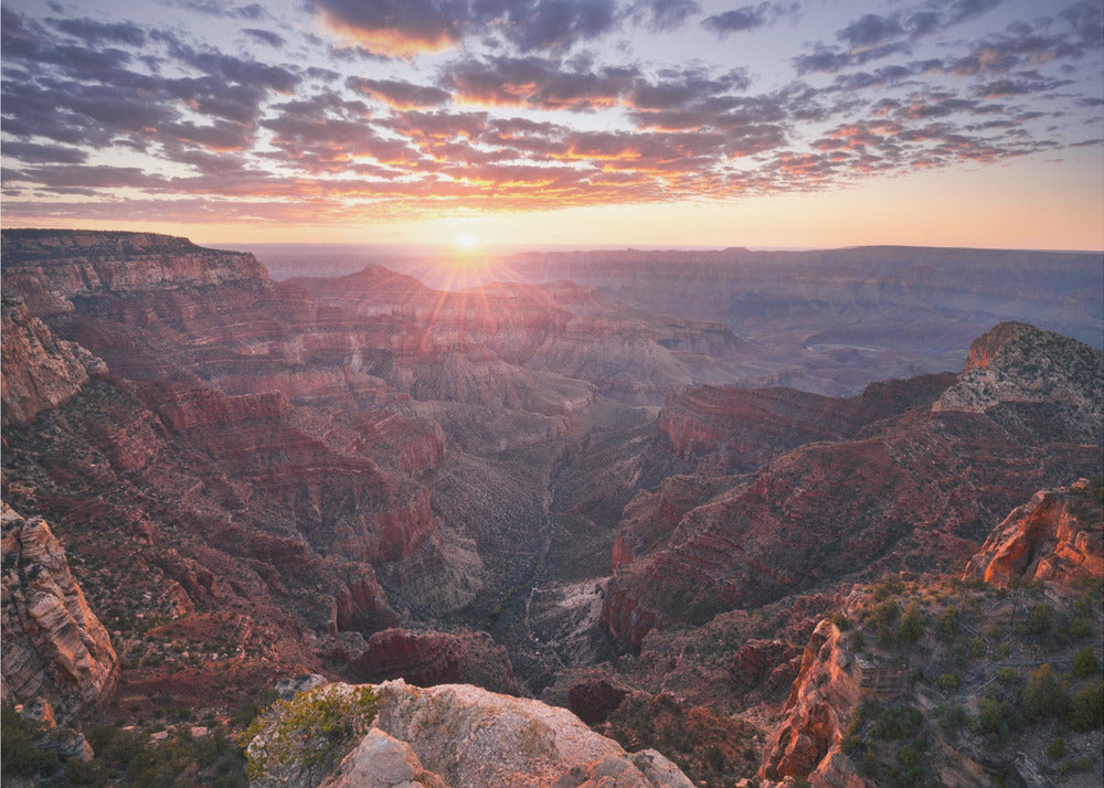 Grand Canyon View | Canvas