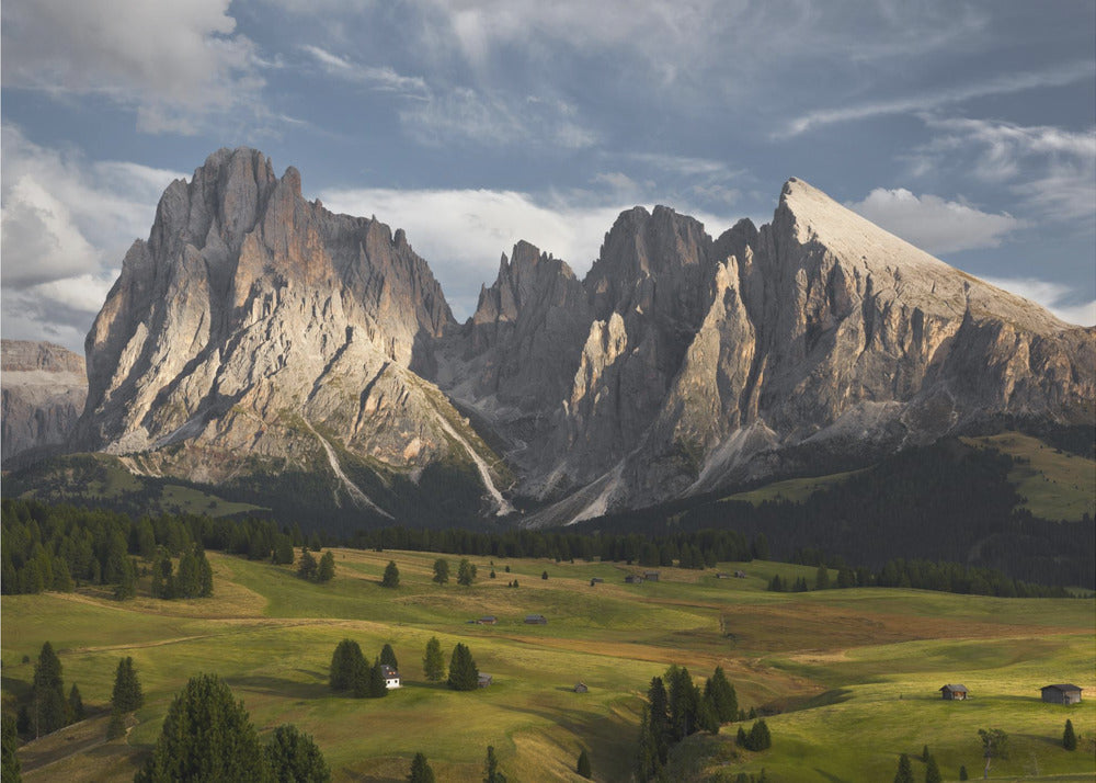 Paradise View | Poster