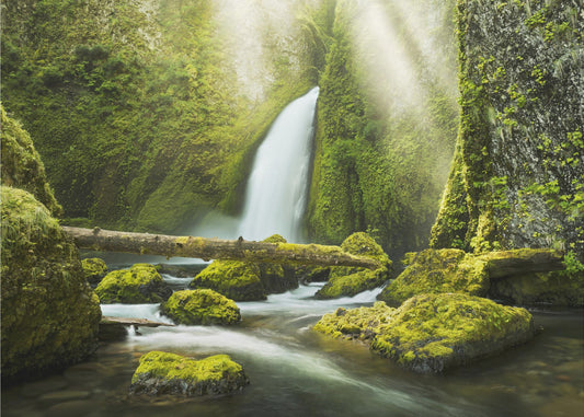 Green Gorge | Poster