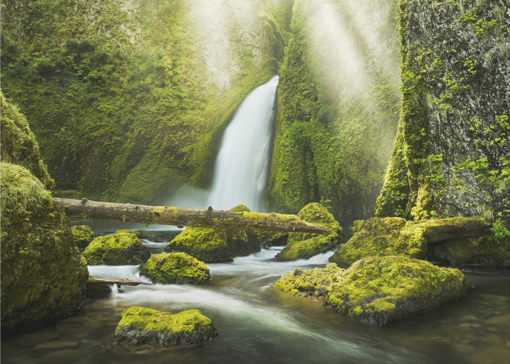 Green Gorge | Canvas