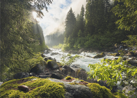 Spring Break | Poster