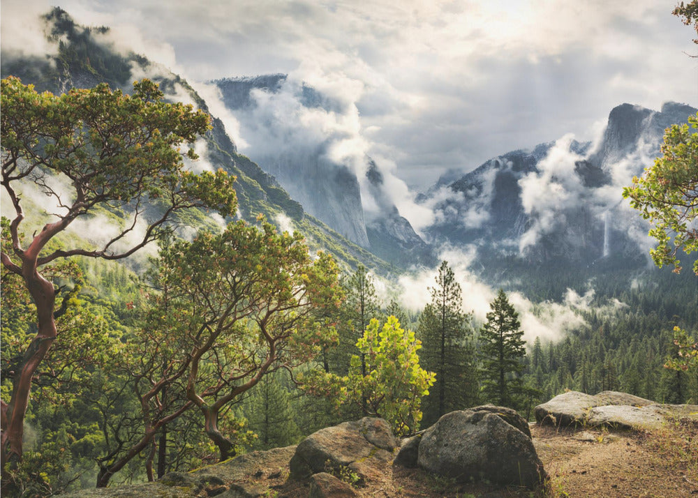 Tunnel View | Wallpaper