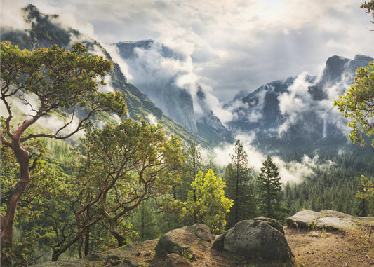 Tunnel View | Canvas