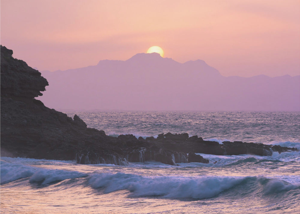 Purple Morning | Wallpaper