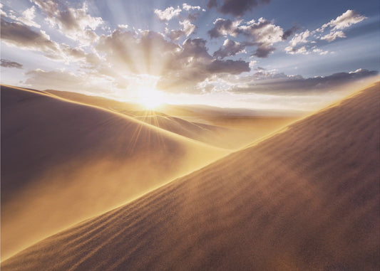 Gently Touched | Poster