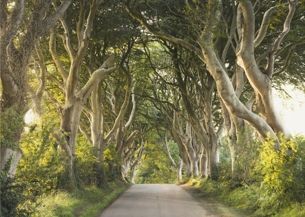 Golden Alley | Wallpaper