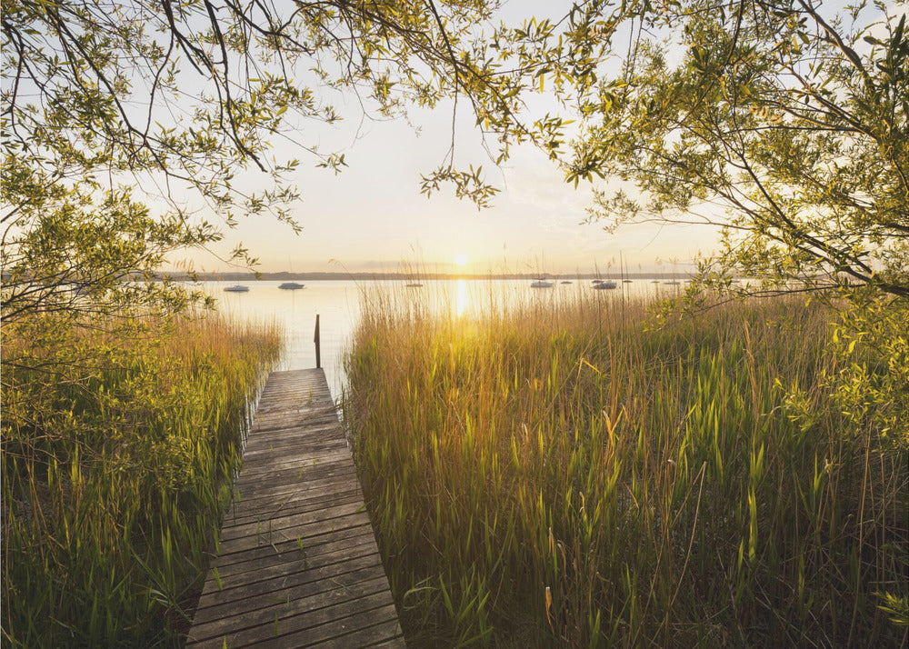 Golden Jetty | Poster