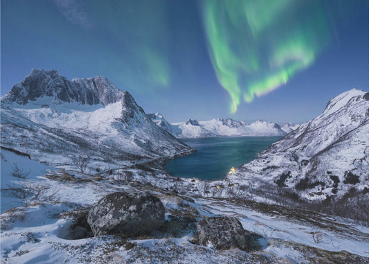 Aurora Nights | Canvas