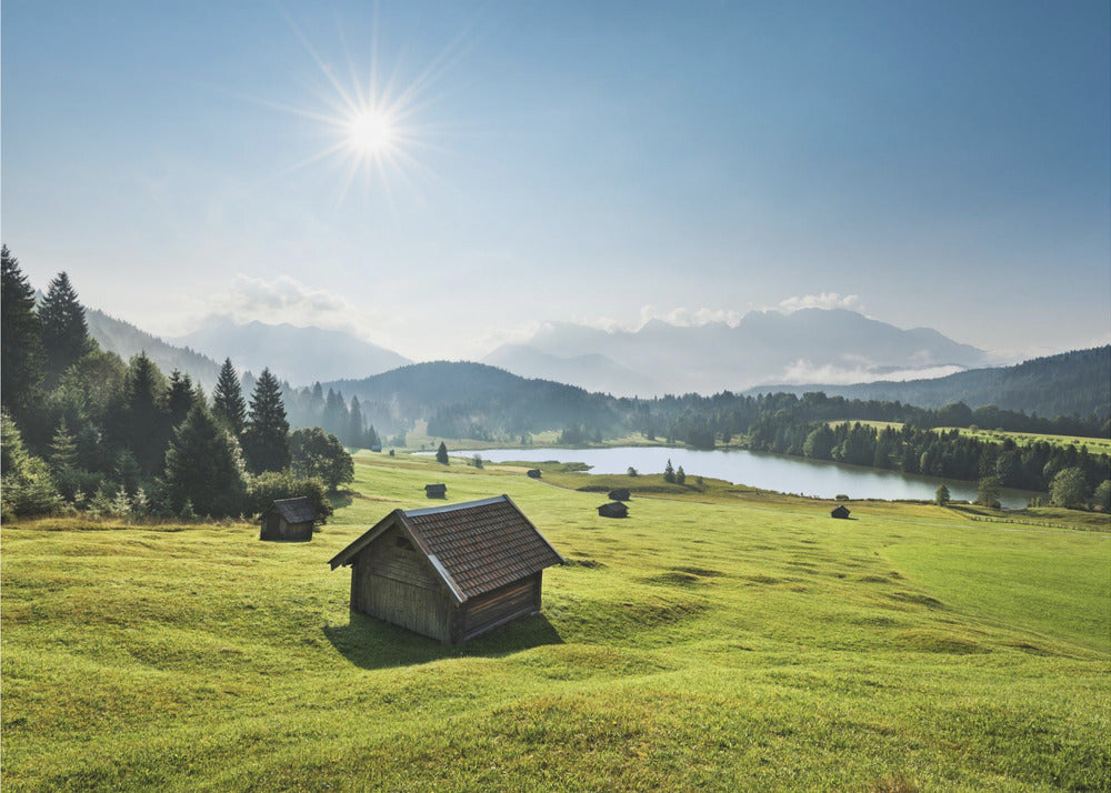 Summer Meadow | Canvas