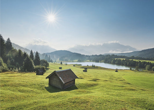 Summer Meadow | Canvas