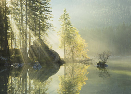 God Rays | Wallpaper