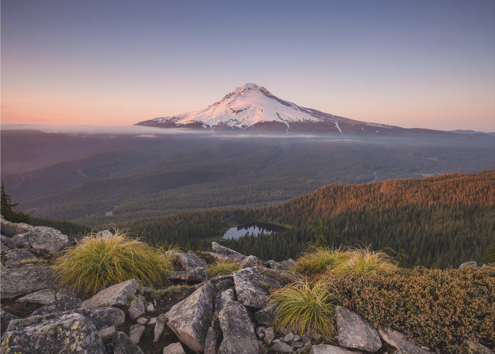 Mount Hood | Canvas
