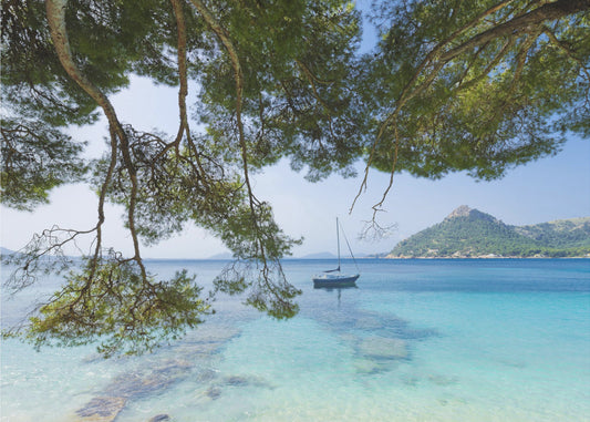 Dreaming of the Sea | Canvas