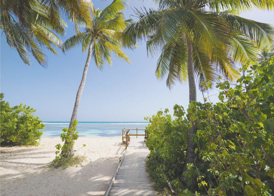 To the Beach | Canvas